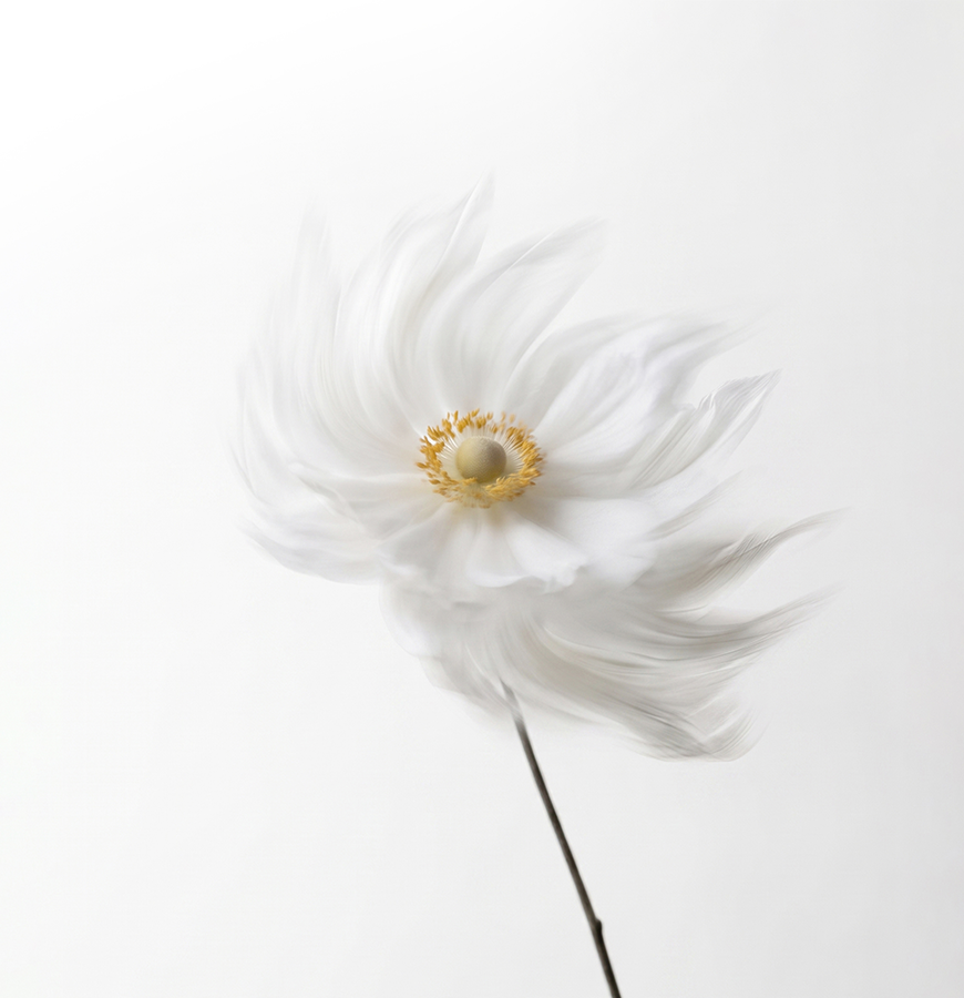Perfect for Minimalist Lifestyle
